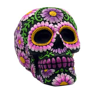 Black/ Pink Skull bank