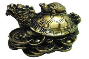 Money Turtle 2 1/2"